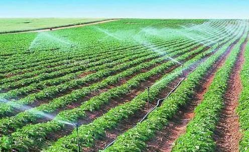 操练小骚穴视频农田高 效节水灌溉